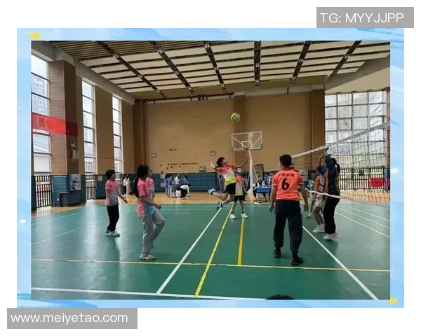 排球盛宴：深入了解成都排球队的拼搏精神与团队力量