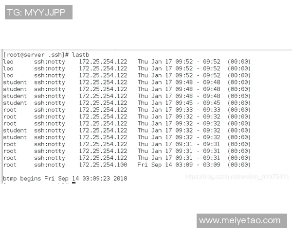 杭州乒乓球队控制策略解析与热点动态深度剖析 杭州乒乓球队控制策略解析与热点动态深度剖析