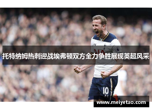托特纳姆热刺迎战埃弗顿双方全力争胜展现英超风采